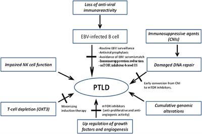 Post-transplant Lymphoproliferative Disorder Following Cardiac Transplantation